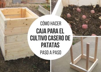 How to make a box for home-grown potatoes