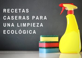 13 homemade recipes for ecological cleaning