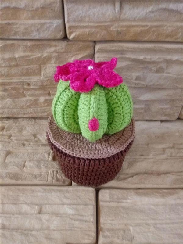 Cactus crochet door weight