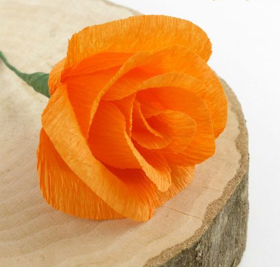 paper roses - orange crepe pink