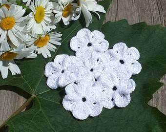 mini daisies crochet flowers in leaf-min