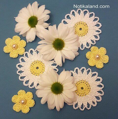 Daisy crochet flowers