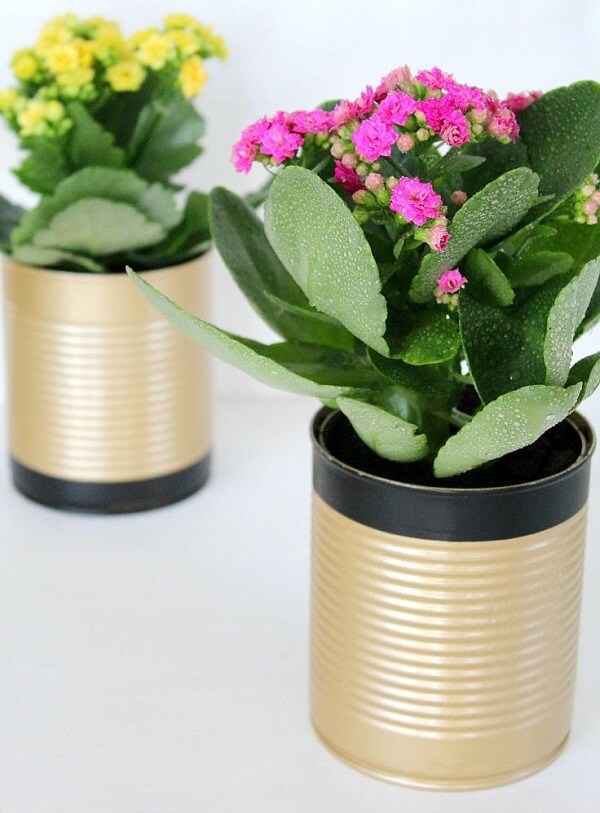 The decorated cans serve as a vase for plants