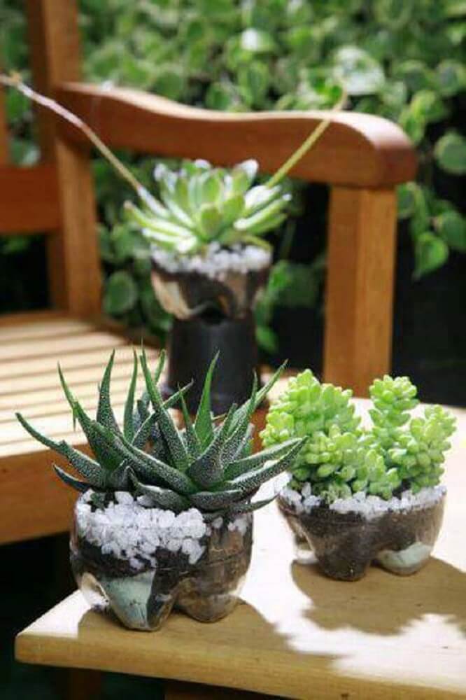 Bottles decorated with succulents
