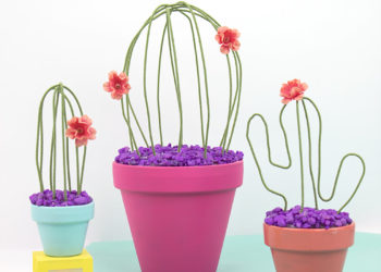DIY If you don’t have a green thumb here’s the solution!