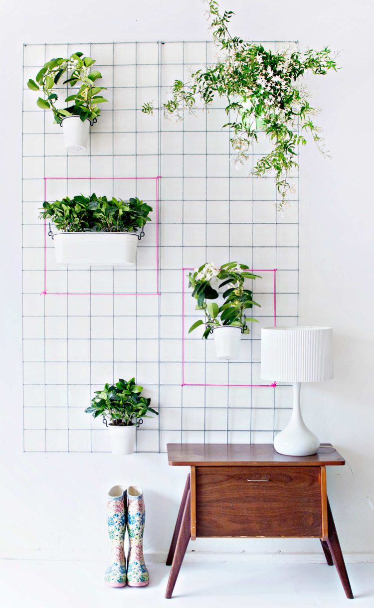 DIY Comment réaliser un jardin suspendu et encadré
