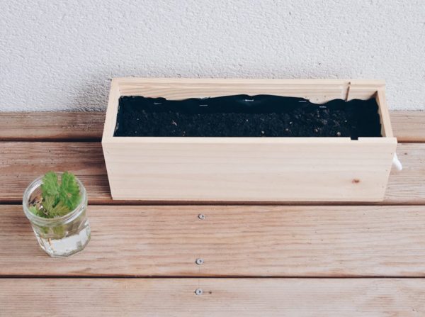 DIY learn how to make a planter with a wine case