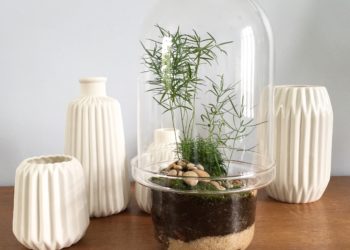 DIY Superb terrarium easy to make and very well explained