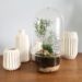 DIY Superb terrarium easy to make and very well explained