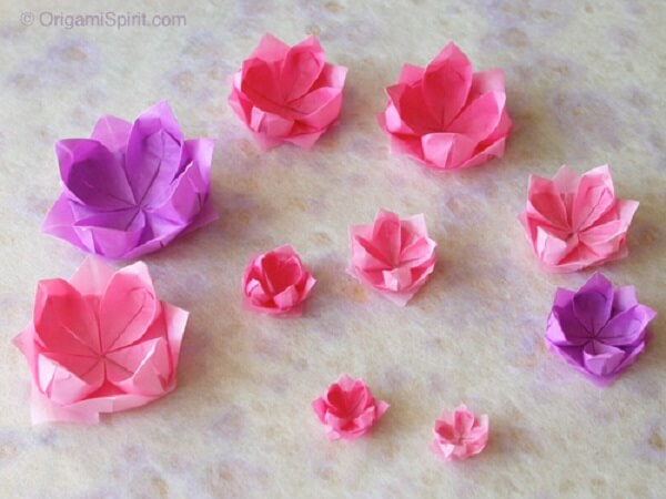 Origami fácil flor de lótus