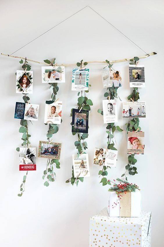 Varal de fotos com plantas para decorar