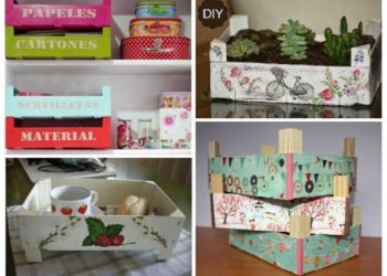 How to recycle strawberry boxes