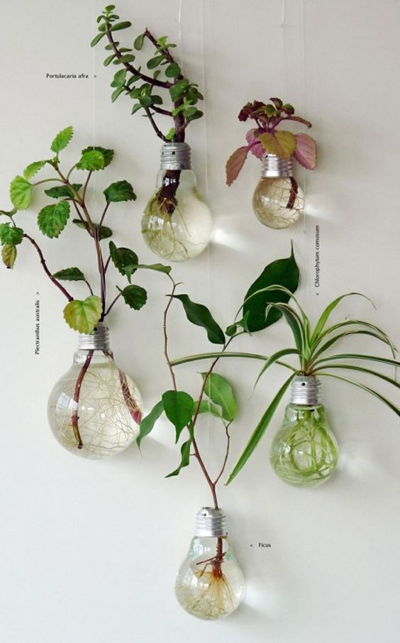Artesanatos fáceis para usar como vaso de plantas moderno