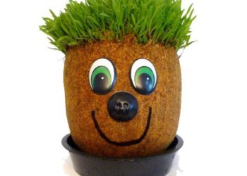 How to make an alpisted-head doll