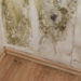 How much does mold remediation typically cost?