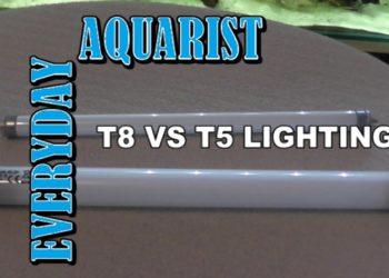 whats the difference between t5 and t8