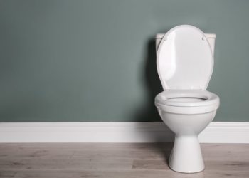 Do toilet seats have a weight limit?