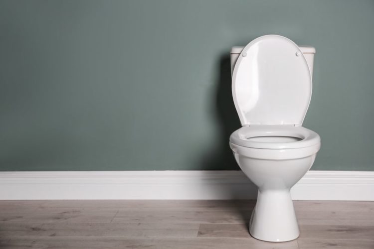 Do toilet seats have a weight limit?