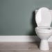 Do toilet seats have a weight limit?
