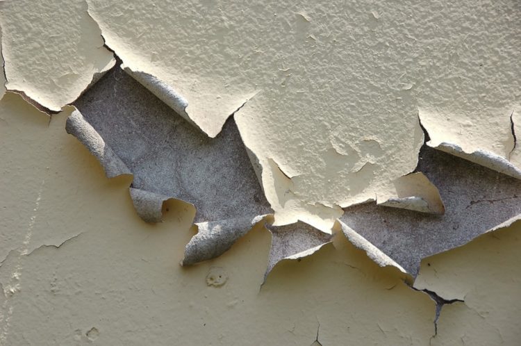 Can you paint over peeling paint?