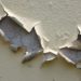 Can you paint over peeling paint?
