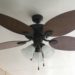 should ceiling fans run all the time
