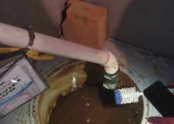 removing iron bacteria from sump pump