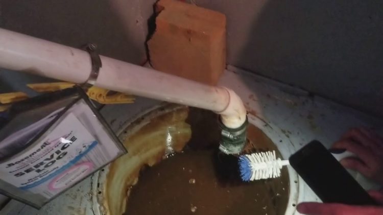 removing iron bacteria from sump pump