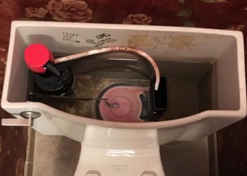 how to clean toilet tank mold