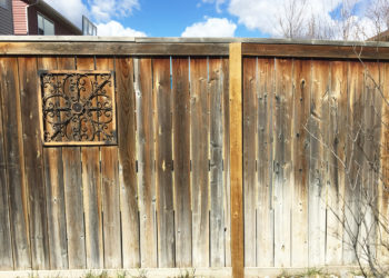 how to stain a fence yourself