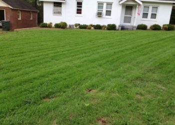 hydroseeding tips
