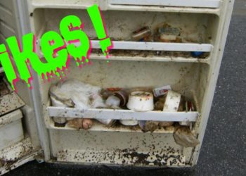 how to remove mold from fridge