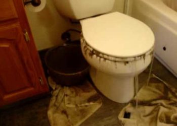 why did my toilet overflow