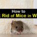How do I get rid of mice in my heating ducts?