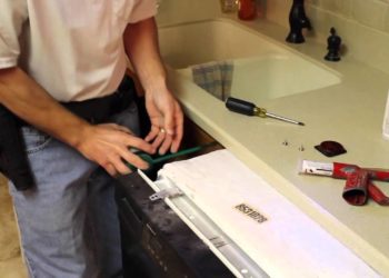 getting rid of cockroaches in dishwasher