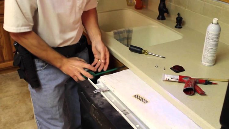 getting rid of cockroaches in dishwasher