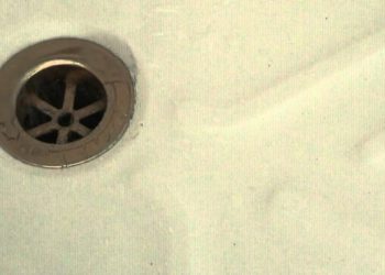 do scorpions come up drains