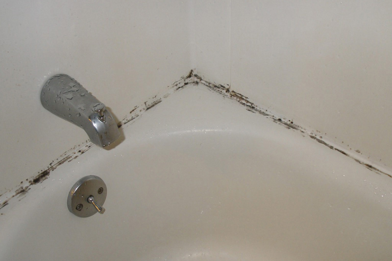 can-vinegar-kill-mold-on-bathroom-ceiling