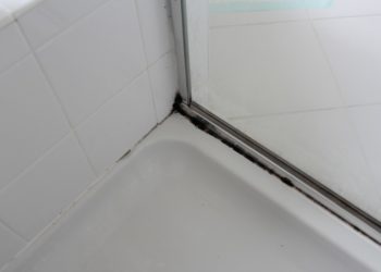 how to clean mold off shower head