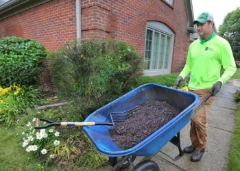 Should I use dyed mulch?