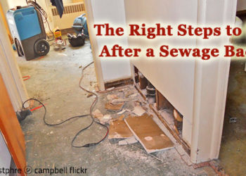 how to clean after sewage backup