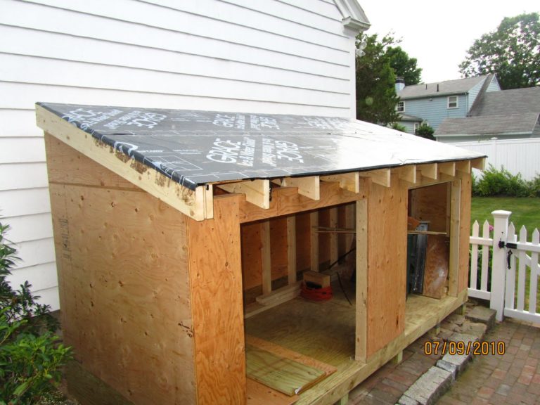 Can You Grow Plants In A Shed 