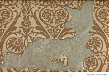 peeling wallpaper