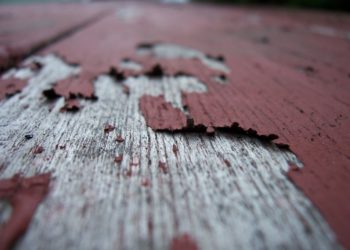 What happens if you paint pressure treated wood too soon?