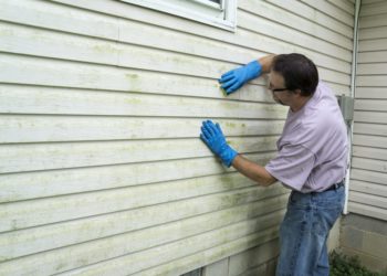 how do i remove mold from wood siding