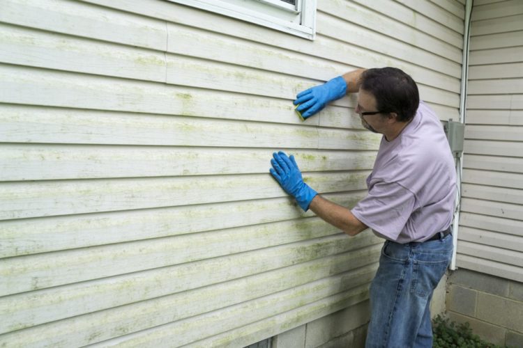 how do i remove mold from wood siding