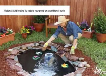 how to connect ponds