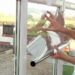 How long does 3m window film last?