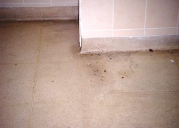 cleaning old terrazzo floors
