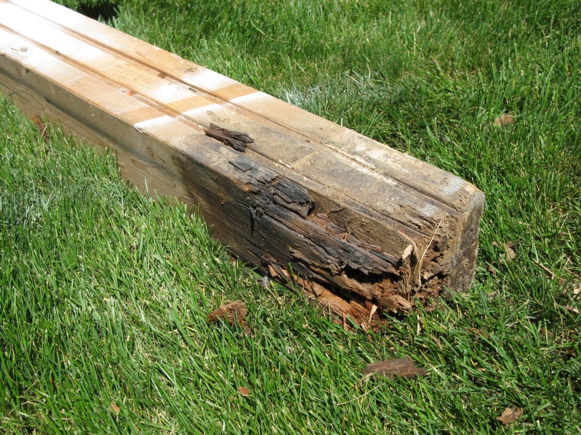 Can You Burn Treated Wood